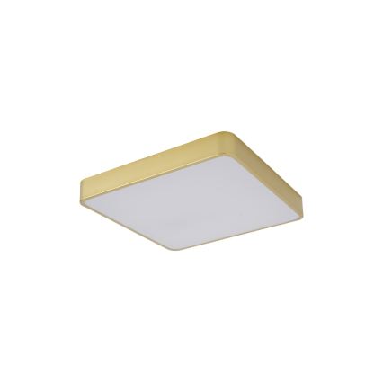 BRILAGI - LED Stropní svítidlo POOL SQUARE LED/36W/230V 3000/4000/6000K 40x40 cm zlatá