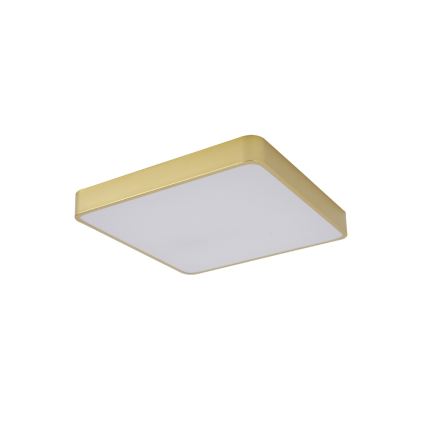 BRILAGI - LED Stropní svítidlo POOL SQUARE LED/48W/230V 3000/4000/6000K 50x50 cm zlatá