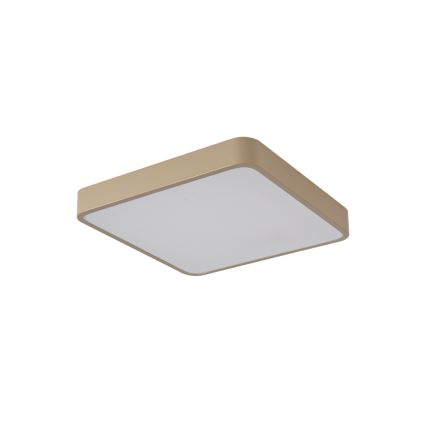 Brilagi - LED Stropní svítidlo POOL SQUARE LED/48W/230V 3000/4000/6000K 50x50 cm béžová