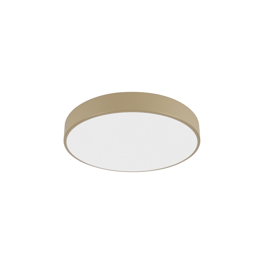 Brilagi - LED Stropní svítidlo POOL LED/36W/230V 3000/4500/6000K pr. 30 cm béžová