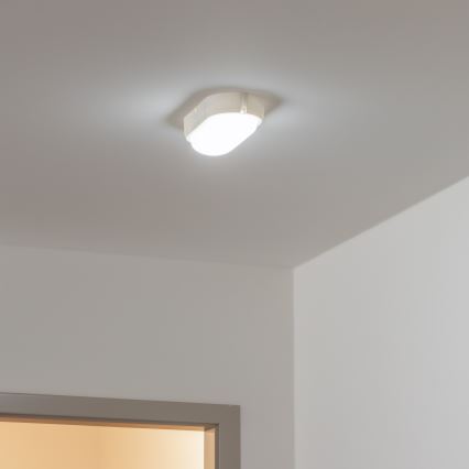 Brilagi - LED Stropní průmyslové svítidlo SIMA LED/12W/230V IP65 bílá