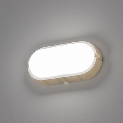 Brilagi - LED Stropní průmyslové svítidlo SIMA LED/12W/230V IP65 bílá
