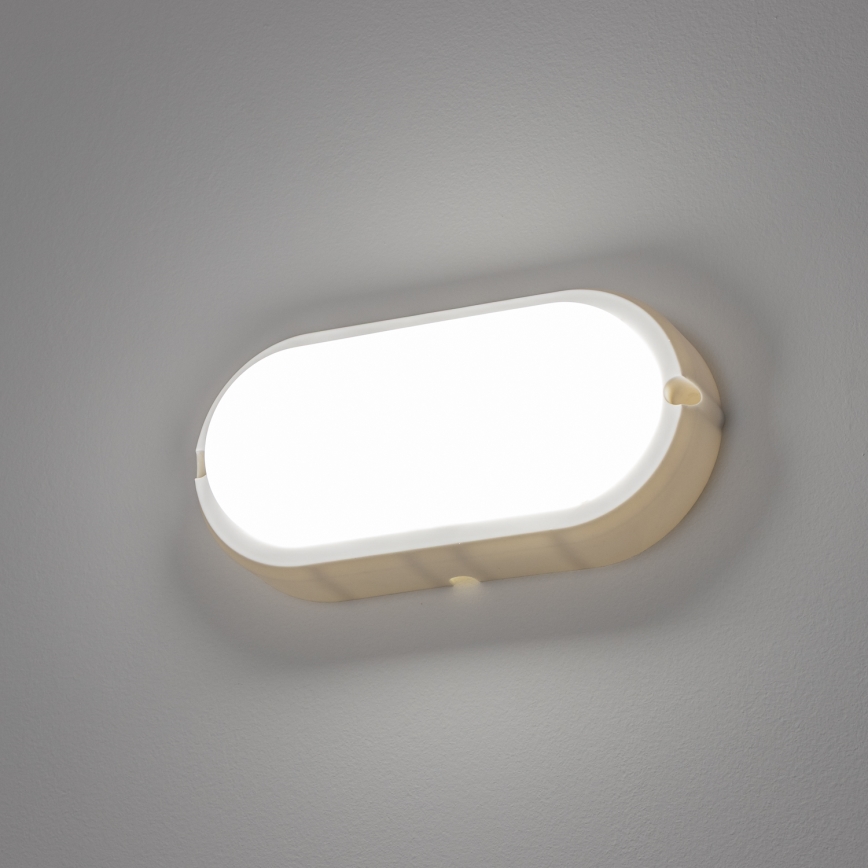 Brilagi - LED Stropní průmyslové svítidlo SIMA LED/12W/230V IP65 bílá