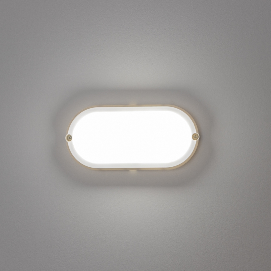 Brilagi - LED Stropní průmyslové svítidlo SIMA LED/12W/230V IP65 bílá