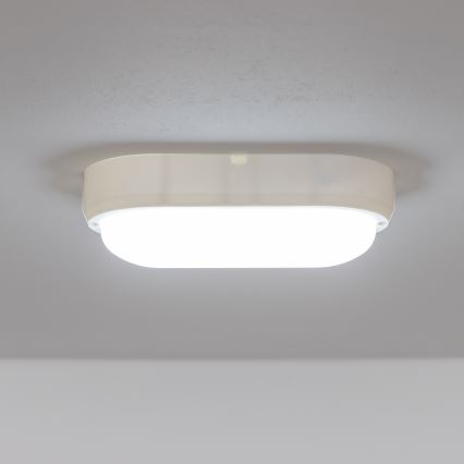 Brilagi - LED Stropní průmyslové svítidlo SIMA LED/12W/230V IP65 bílá