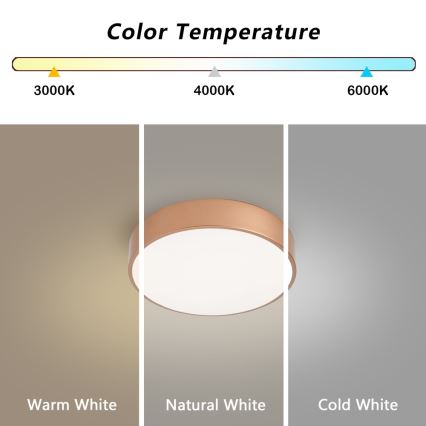 Brilagi - LED Stropní svítidlo POOL LED/24W/230V 3000/4000/6000K pr. 20 cm bronzová