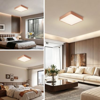 Brilagi - LED Stropní svítidlo POOL LED/48W/230V 3000/4000/6000K 50x50 cm bronzová