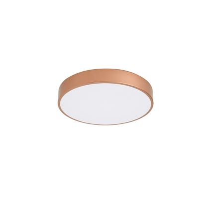 Brilagi - LED Stropní svítidlo POOL LED/48W/230V 3000/4000/6000K pr. 40 cm bronzová