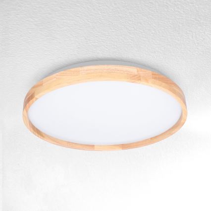 Brilagi - LED Stropní svítidlo ALSON LED/24W/230V dub