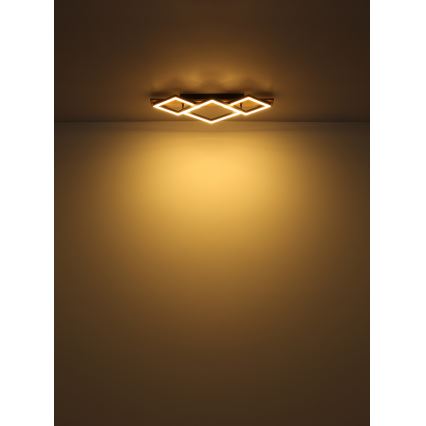 Brilagi - LED Stropní svítidlo AXIS I LED/24W/230V