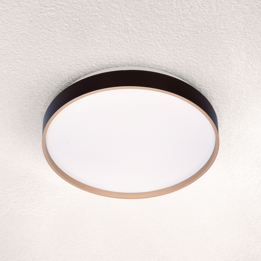 Brilagi - LED Stropní svítidlo CALA LED/24W/230V