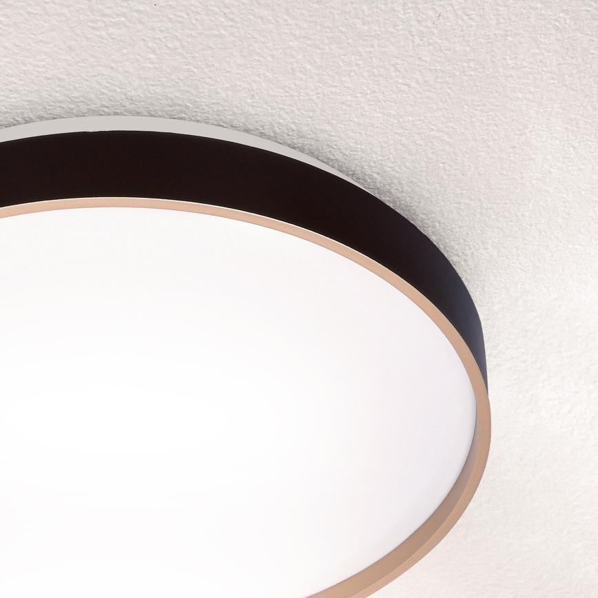 Brilagi - LED Stropní svítidlo CALA LED/24W/230V