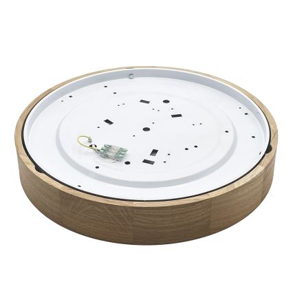 Brilagi - LED Stropní svítidlo CARVALHO LED/36W/230V dub pr. 47,5 cm