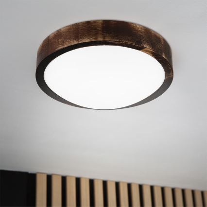 Brilagi - LED Stropní svítidlo CARVALHO SLIM SMOKEY LED/20W/230V dub pr. 27,5 cm