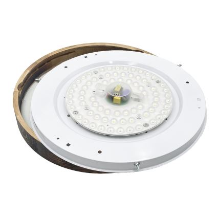 Brilagi - LED Stropní svítidlo CARVALHO SLIM SMOKEY LED/36W/230V dub pr. 47,5 cm