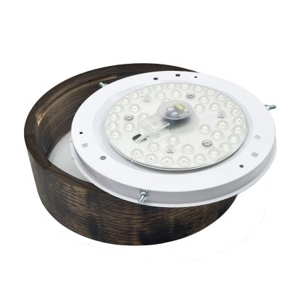 Brilagi - LED Stropní svítidlo CARVALHO SMOKEY LED/20W/230V dub pr. 27,5 cm
