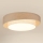 Brilagi - LED Stropní svítidlo DOVER SHINE LED/26W/230V pr. 60 cm šedá/krémová