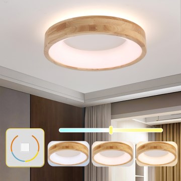 Brilagi - LED Stropní svítidlo FALCON WOOD LED/30W/230V 3000/4000/6000K pr. 45 cm dřevo