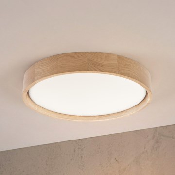 Brilagi - LED Stropní svítidlo MANAROLA PLAIN LED/24W/230V 3000K pr. 41 cm dub