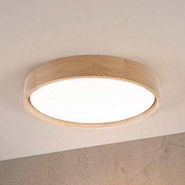 Brilagi - LED Stropní svítidlo MANAROLA PLAIN LED/24W/230V 4000K pr. 41 cm dub