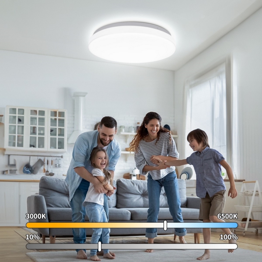 Brilagi - LED Stropní svítidlo MILKY WAY LED/24W/230V 3000/4000/6500K pr. 38 cm