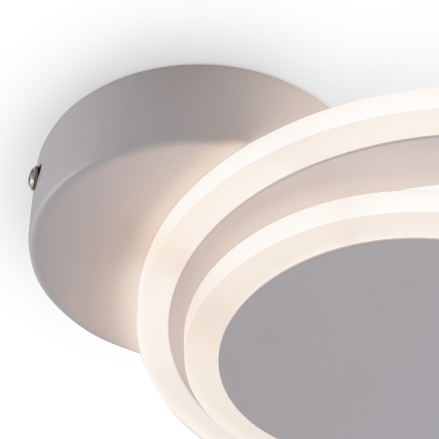 Brilagi - LED Stropní svítidlo MODERN MINI LED/22W/230V 3000/4000/6000K