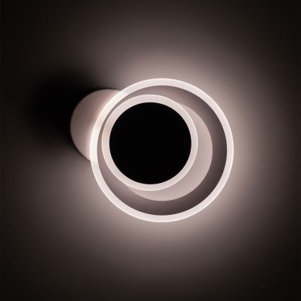 Brilagi - LED Stropní svítidlo MODERN MINI LED/22W/230V 3000/4000/6000K