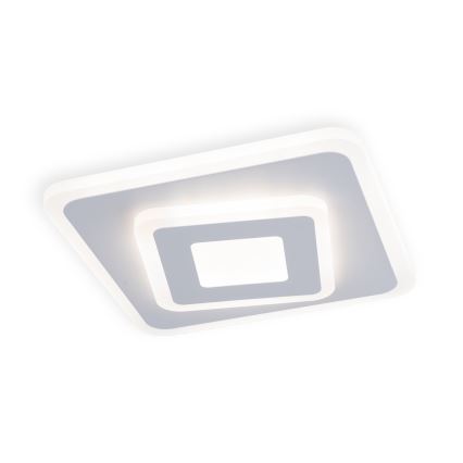 Brilagi - LED Stropní svítidlo MODERN MINI LED/32W/230V 3000/4000/6000K