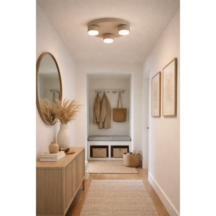 BRILAGI - LED Stropní svítidlo MONO 3xGX53/30W/230V pr. 30 cm béžová