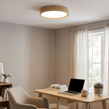 Brilagi - LED Stropní svítidlo NATURA LED/12W/230V 3000K pr. 26,3 cm