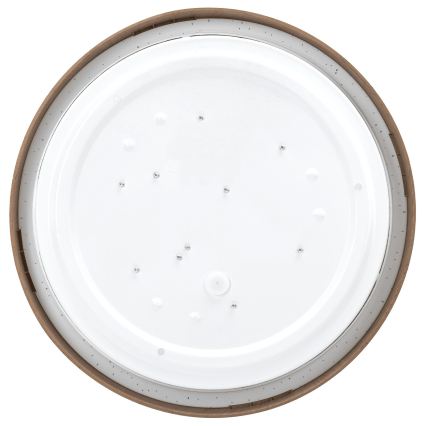 BRILAGI - LED Stropní svítidlo NATURA LED/12W/230V 4000K pr. 26,3 cm