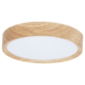 BRILAGI - LED Stropní svítidlo NATURA LED/12W/230V 4000K pr. 26,3 cm