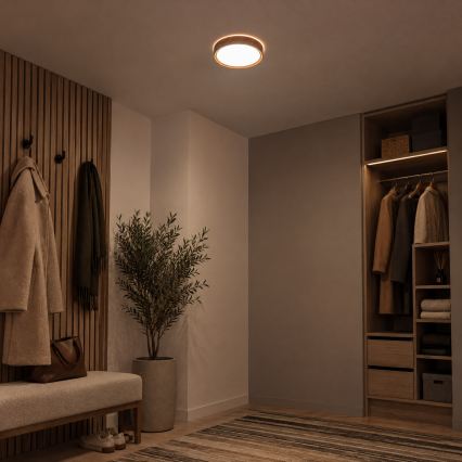 BRILAGI - LED Stropní svítidlo NATURA LED/12W/230V 4000K pr. 26,3 cm