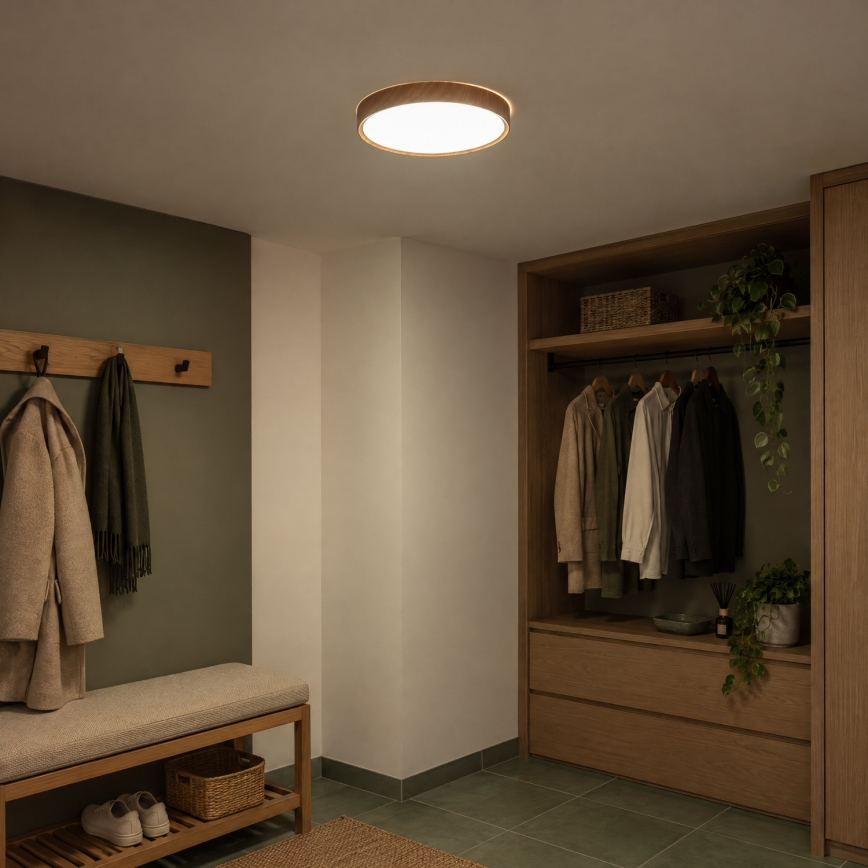 BRILAGI - LED Stropní svítidlo NATURA LED/24W/230V 4000K pr. 38,3 cm