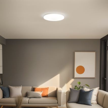Brilagi - LED Stropní svítidlo OPAL LED/24W/230V