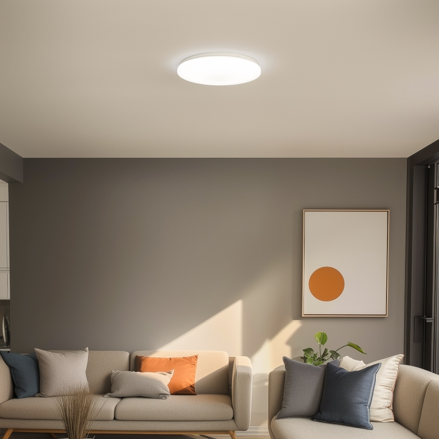 Brilagi - LED Stropní svítidlo OPAL LED/24W/230V