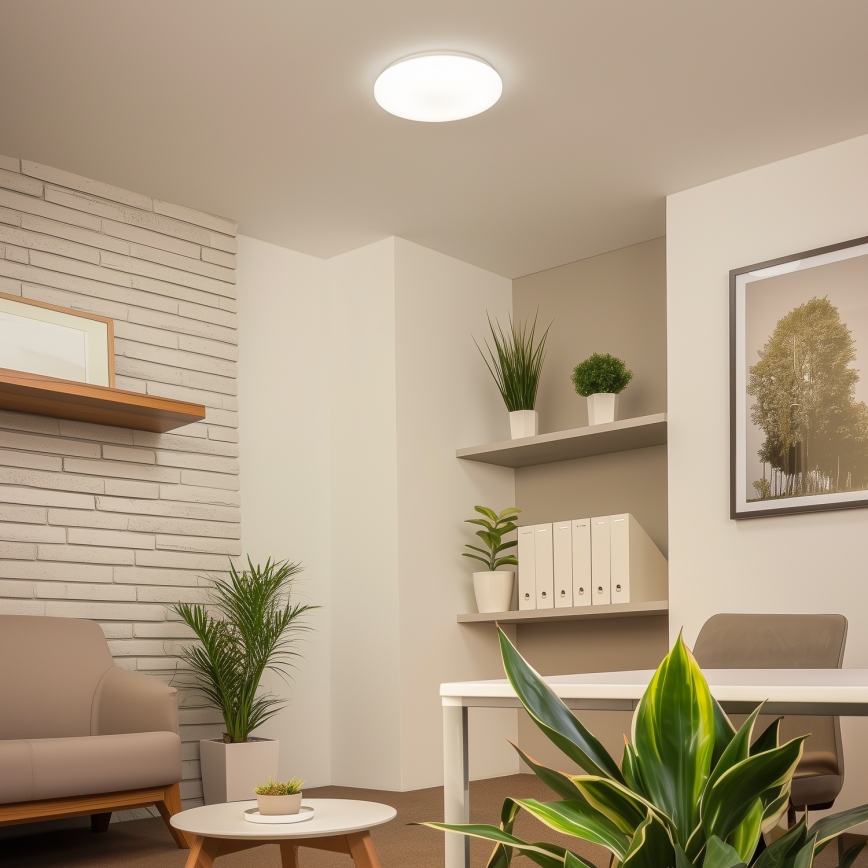 Brilagi - LED Stropní svítidlo OPAL LED/24W/230V