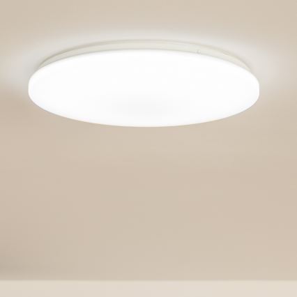 Brilagi - LED Stropní svítidlo OPAL LED/24W/230V