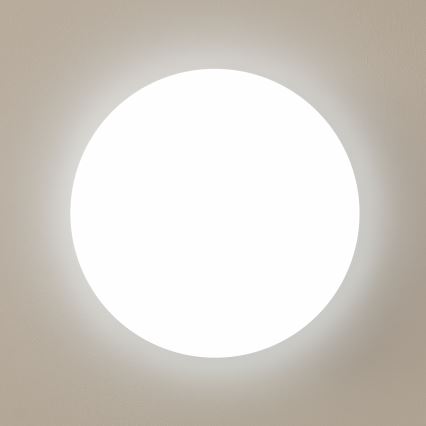 Brilagi - LED Stropní svítidlo OPAL LED/24W/230V