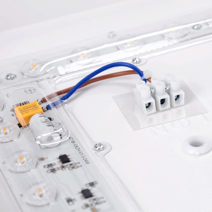 Brilagi - LED Stropní svítidlo PILANA LED/24W/230V dub/bílá 32x32 cm