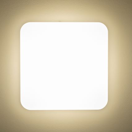 Brilagi - LED Stropní svítidlo PLAIN LED/24W/230V 3000K