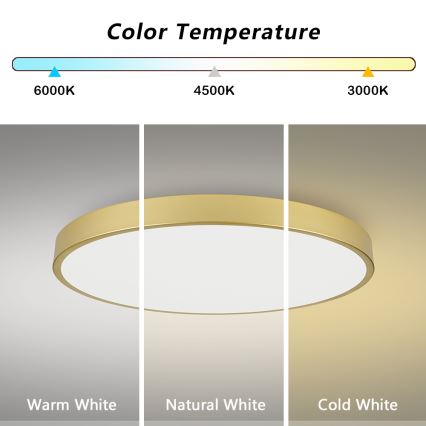 Brilagi - LED Stropní svítidlo POOL LED/128W/230V 3000/4000/6000K pr. 100 cm zlatá