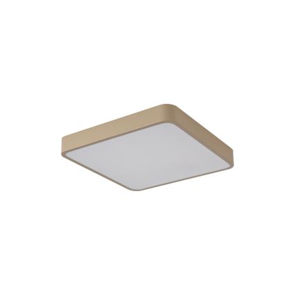 Brilagi - LED Stropní svítidlo POOL LED/36W/230V 3000/4000/6000K 40x40 cm béžová