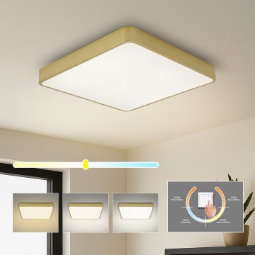 Brilagi - LED Stropní svítidlo POOL LED/36W/230V 3000/4000/6000K 40x40 cm zlatá
