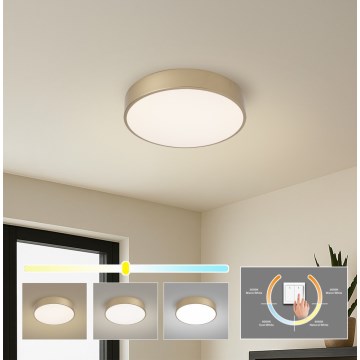 Brilagi - LED Stropní svítidlo POOL LED/36W/230V 3000/4000/6000K pr. 30 cm zlatá