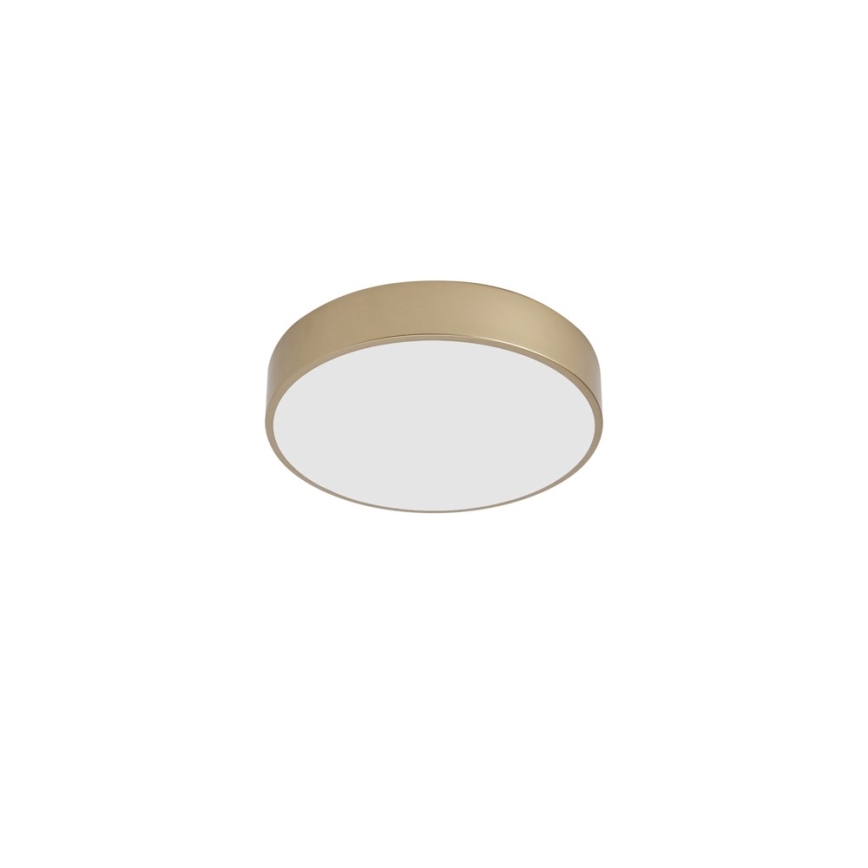 Brilagi - LED Stropní svítidlo POOL LED/36W/230V 3000/4000/6000K pr. 30 cm zlatá