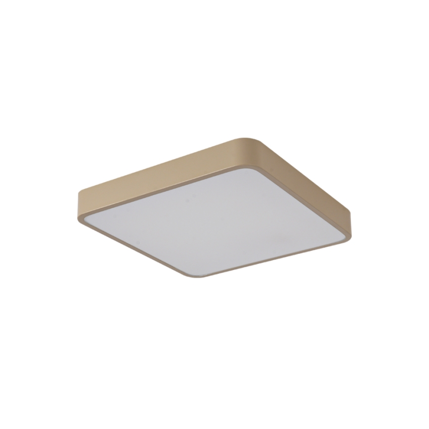 Brilagi - LED Stropní svítidlo POOL LED/48W/230V 3000/4000/6000K 50x50 cm béžová
