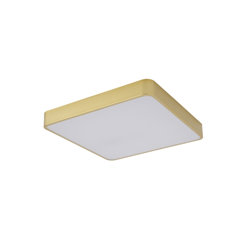 Brilagi - LED Stropní svítidlo POOL LED/48W/230V 3000/4000/6000K 50x50 cm zlatá
