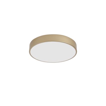 Brilagi - LED Stropní svítidlo POOL LED/48W/230V 3000/4000/6000K pr. 40 cm zlatá