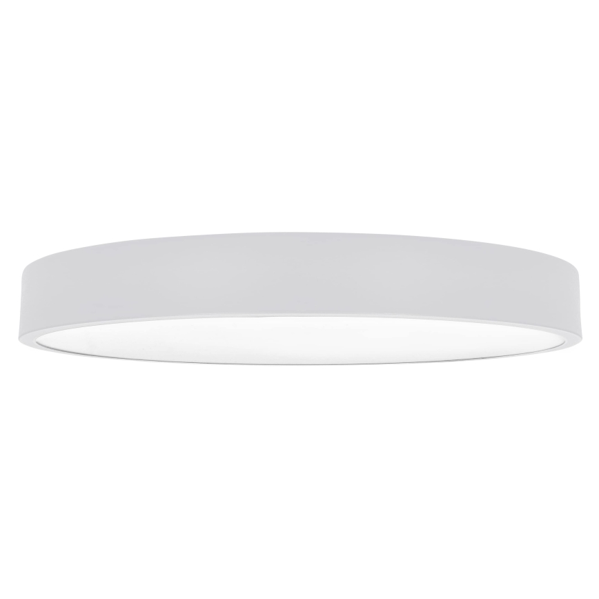 Brilagi - LED Stropní svítidlo POOL LED/60W/230V 3000/4000/6000K 50 cm bílá